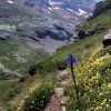 Le Taillon et le Doigt de la Fausse Brche