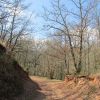 Randonne Aveyron  Ampiac