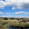 Randonne prs du Col de Bonnecombe sur l'Aubrac en Lozre