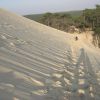 Dune du Pyla