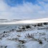 Lac de Castelnau Lassouts sur l'Aubrac