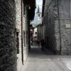 Dolonne