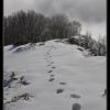 Le soum d'Andorre