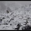 Le soum d'Andorre