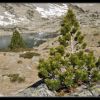 Lac Estagnol