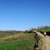 Randonne autour d'Estaing et de Saint Geniez des Ers, en Aveyron