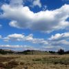 Randonne en Aubrac prs du Col de Bonnecombe en Lozre