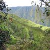 Randonne au Mont Aorai  Tahiti