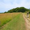 Randonne dans le domaine d'Abbadia - Pays Basque