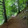 Dbut de la randonne autour du lac Pavin en Auvergne