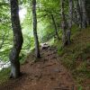 Le sentier qui fait le tour du lac Pavin dans le Massif Central