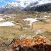 Sur le plateau de Saugu dans les Pyrnes