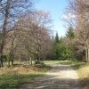 Rando sur Aubrac