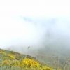 Au sommet du Puy Mary par temps brumeux 
