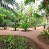 Balade dans le Jardin Majorelle  Marrakech