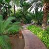 Jardin Majorelle  Marrakech