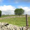 Passage sur une draille d'Aubrac