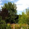 VTT Saint Cme jusqu'au Puech de Levade