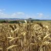 Usson sur sa montagne 