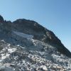 Frondella Occidental