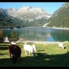 Lac d'Oredon