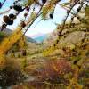 Valle de Crvoux, La Chalp