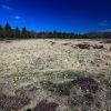 Fret domaniale de Laguiole sur l'Aubrac