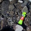 Gel Mulebar qui se baigne dans le Lac Rond