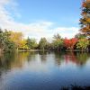 Le Parc Bordelais, Bordeaux