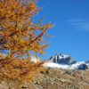 Automne en Vsubie