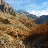 Automne roux
