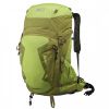 Test Millet Elevation 40