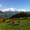 Massif du Mont Blanc: A Burzier, au dessus de Sallanches