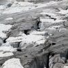 Le Glacier Blanc : randonne depuis le Pr de Mme Carle