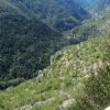 Gorges du Tarn depuis le belvdre