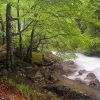 Chemin des cascades au dessus de Cauterets