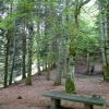 Dans la monte au Puy de Dme