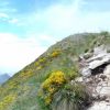 Le Puy Mary se dgage lorsque nous redescendons de l'autre ct 