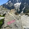 Randonne au Glacier Blanc