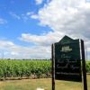 Chteau Grand Barrail  St Emilion 