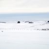 Aubrac sous la neige