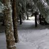 Neige sur le sentier botanique de Laguiole