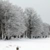 Premires neiges en Aveyron