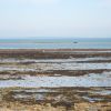 Ile de R