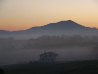 POI : Ursuia Ursuia