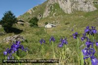 POI : Cabane d'Arrégatiou Cabane d'Arrégatiou