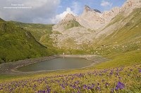Trace gps : Lac de Lhurs depuis le parking de Napia Lac de Lhurs depuis le parking de Napia