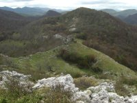 Pic Etchecortia