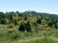 Balade Tour de Madeloc