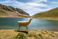 POI : Lac d'Oncet Lac d'Oncet